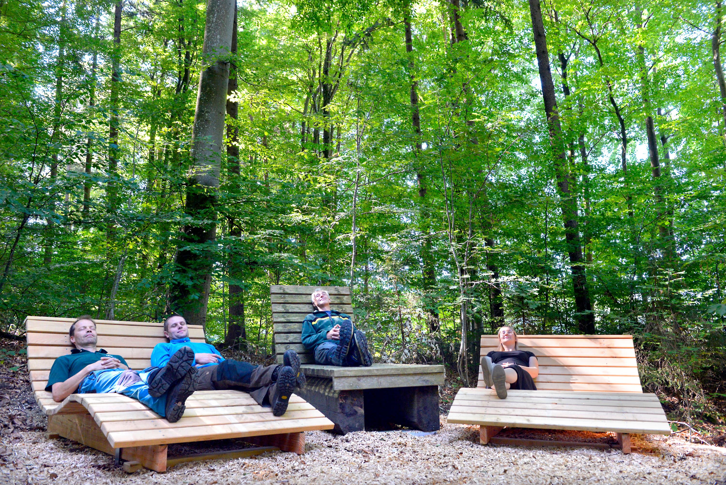 Zwei neue Relaxliegen am Waldlehrpfad in Bad Waldsee