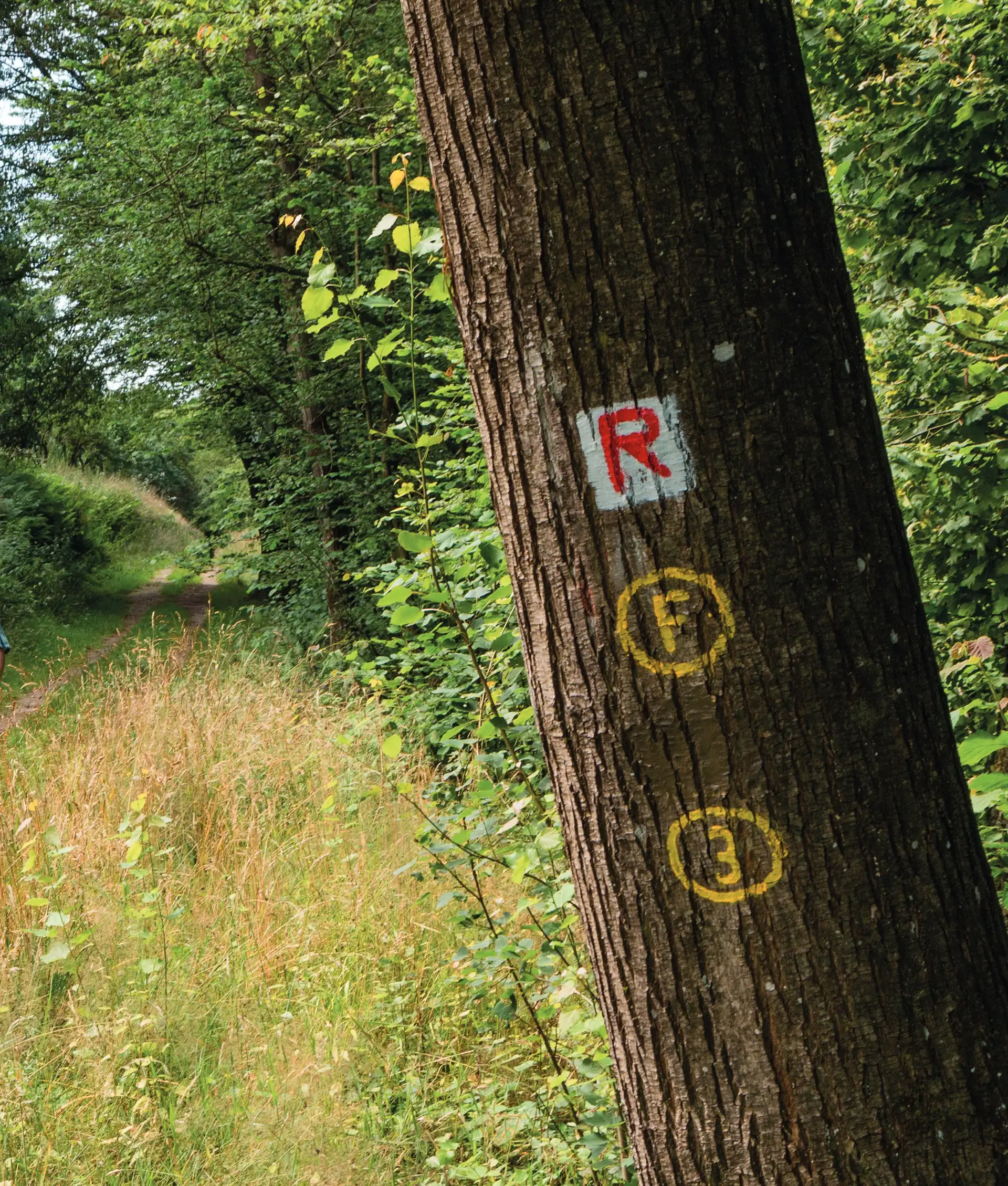 Eberbach wandert: Geführte Wanderungen April bis Oktober 2026