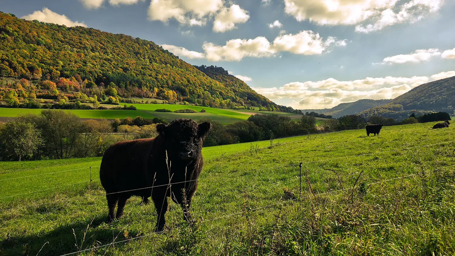 Lagebeschreibung zum Rohrhof im Rohrbachtal in Unterböhringen (Bad Überkingen) als Veranstaltungsort des Netzwerktreffens der Tourismusbranche im Landkreis Göppingen.