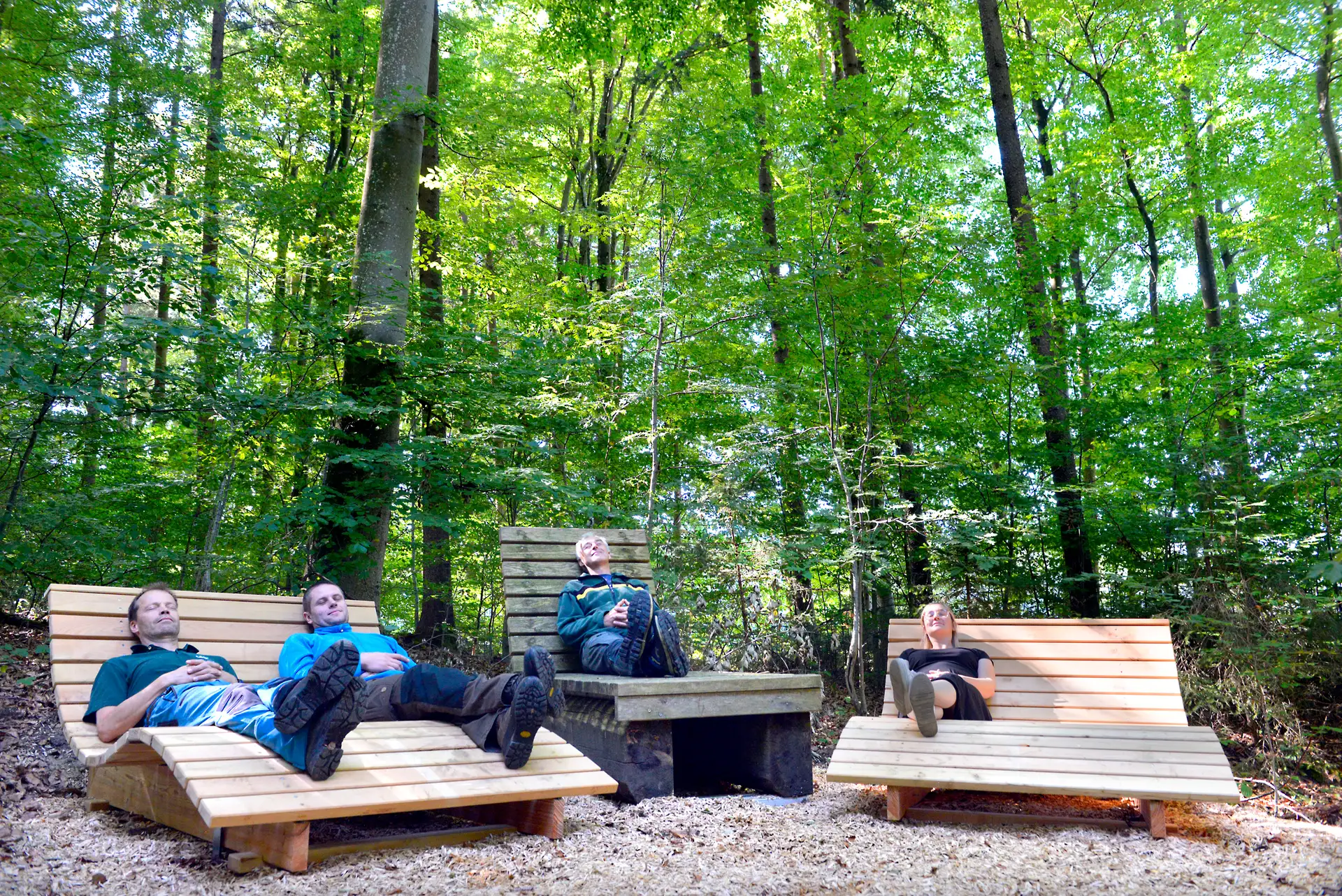 Zwei neue Relaxliegen am Waldlehrpfad in Bad Waldsee