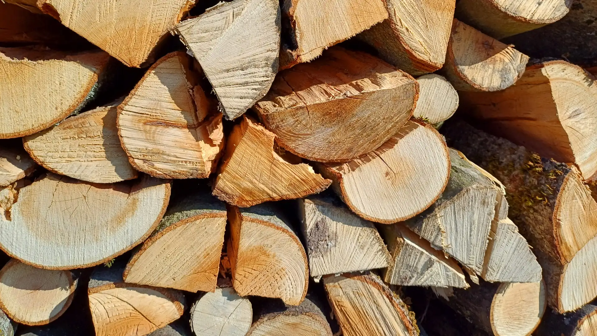 Lagerndes Brennholz zum Trocknen in einem Stapel