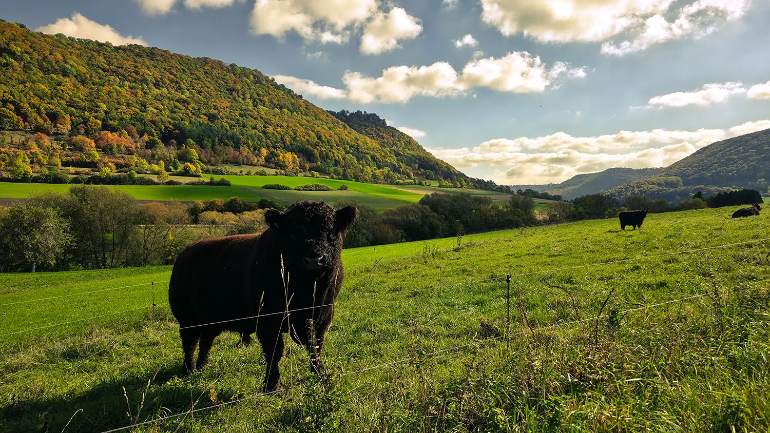 Lagebeschreibung zum Rohrhof im Rohrbachtal in Unterböhringen (Bad Überkingen) als Veranstaltungsort des Netzwerktreffens der Tourismusbranche im Landkreis Göppingen.