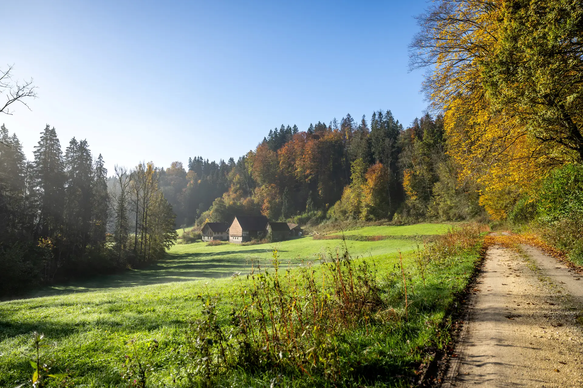Blick in Richtung Rotachtal in Horgenzell am geplanten Premium-Spazierwanderweg Tobel-Erlebnis