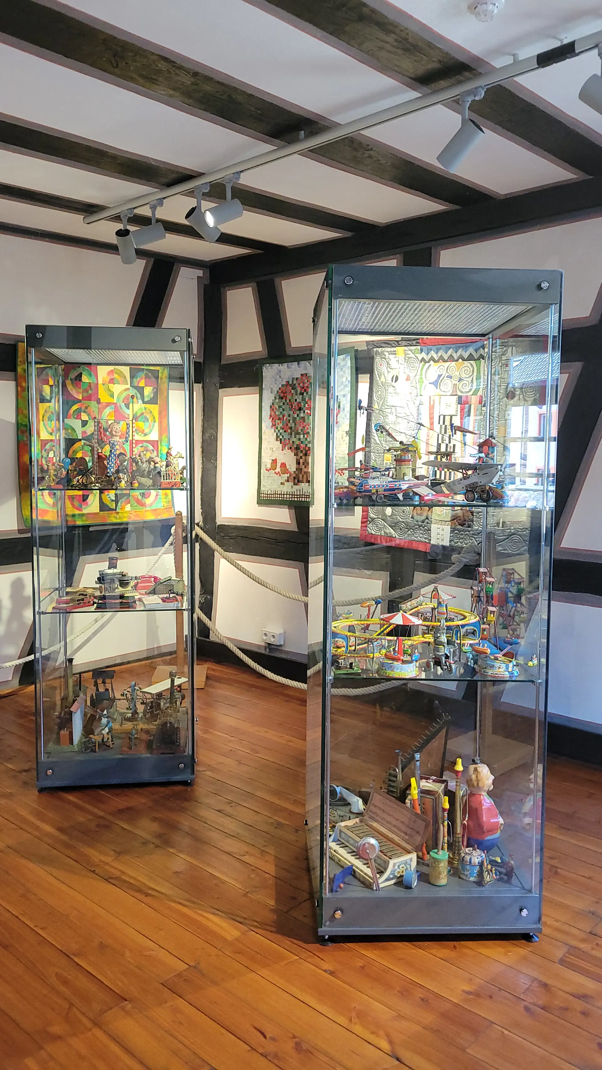 Vielfältige und außergewöhnliche Sammlerstücke können noch bis zum 13. September im Museum im Schweizer Hof betrachtet werden.